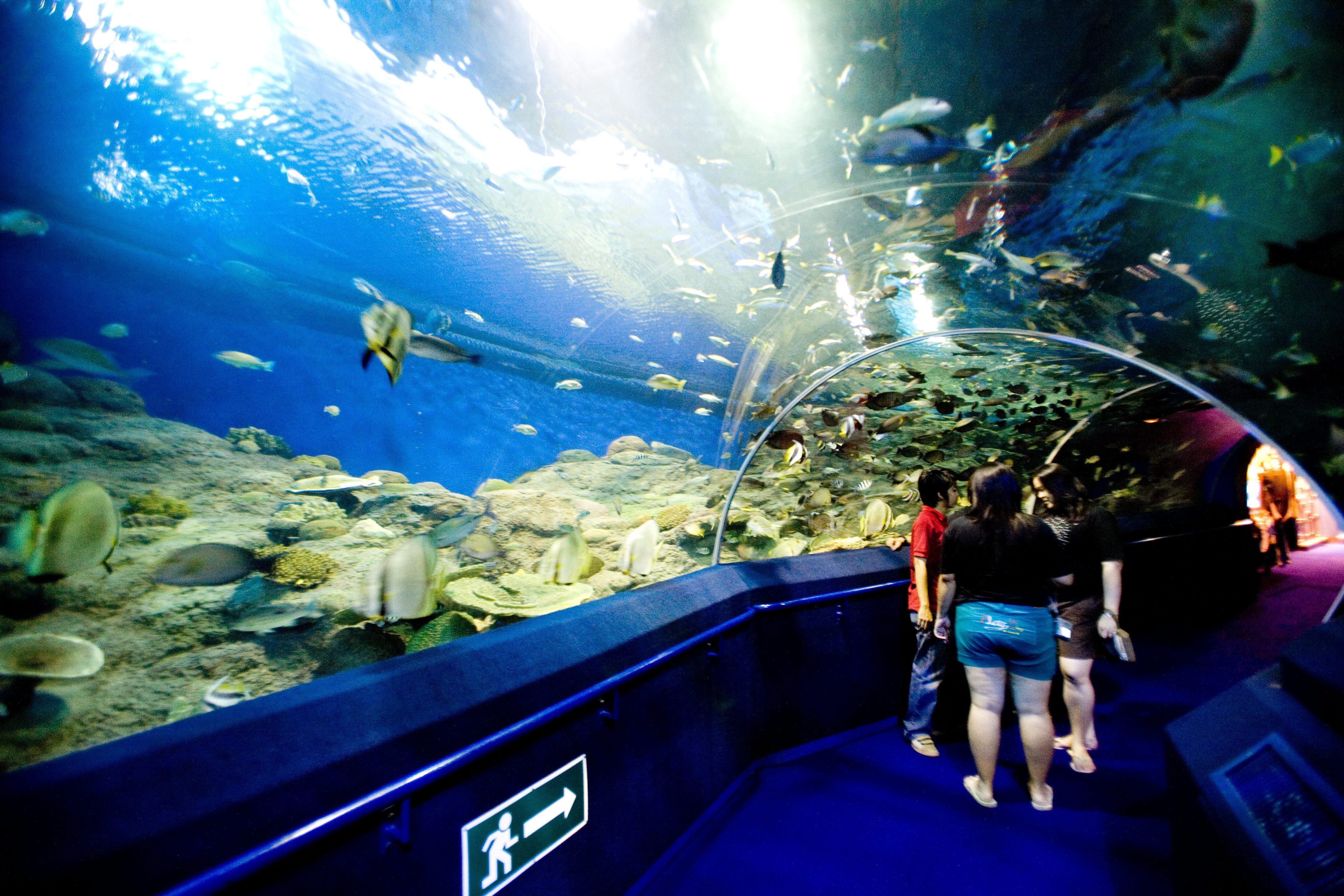 Underwater World Pattaya at Chong Buri *** Local Caption *** อันเดอร์วอเตอร์ เวิล์ด พัทยา จังหวัดชลบุรี