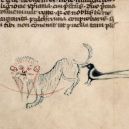 20 středověkých svědectví o divné povaze koček - ugly-cat20