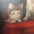 20 středověkých svědectví o divné povaze koček - ugly-cat21