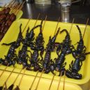 Podívejte se na ta nejšílenější jídla na světě - 06-smazeny-skorpion-je-libo-smazeneho-jedovateho-skorpiona-koupit-si-ho-muzete-na-nocnim-trzisti-tung-chua-men-v-cinskem