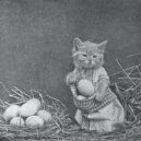 Nepřehlédněte retro fotografie těchto rozkošných šelmiček! - harry_whittier_frees_-_mrs-_bufkins_finds_plenty_of_eggs-728×538-640×473