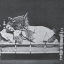 Nepřehlédněte retro fotografie těchto rozkošných šelmiček! - harry_whittier_frees_-_rosie_and_jennie_took_a_cat-nap-640×469