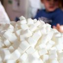 Cukr nás dělá tlustými a ošklivými - zucker2-stv