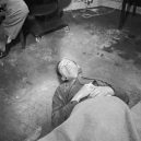 Hromadé sebevraždy v posledních válečných dnech roku 1945 - himmler_dead