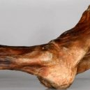 Vědci provedli analýzu Ötziho žaludku - otzi-tattoos-1024×566