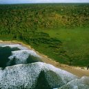 Gabon: to je ráj na zemi i pod vodou - 02_pristine_seas-adapt-885-1