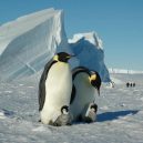 Podívejte se na luxusní kemping v ledovém konci světa - protective-parents