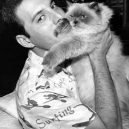 Freddie Mercury – nezapomenutelná legenda - fred-cat