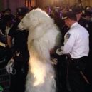 Muž v medvědím obleku a další lidé tropící neplechy v kostýmech - medvidek
