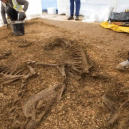 Pohřbený vůz s jezdcem i zapřaženými koňmi nadchl archeology - horse-and-chariot
