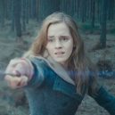 Harry Potter a 7 naprosto šílených fanouškovských teorií - harry-potter-9-hermione