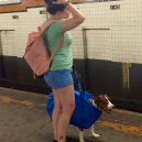 Nové nařízení komplikuje život newyorským pejskařům. Podívejte se, jak vtipně si s problémem poradili - nyc-subway-dog2