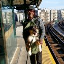 Nové nařízení komplikuje život newyorským pejskařům. Podívejte se, jak vtipně si s problémem poradili - nyc-subway-dog9