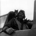 Zvířata a válka. 14 fotografií zachycující obvyklé i neobvyklé způsoby využití zvířat v armádě - pilot-cat
