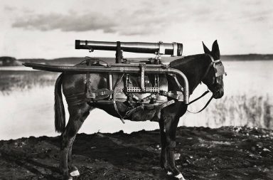 Osli byli často využíváni pro přenos zbraní. Na fotografii z roku 1930 můžete vidět osla s raketometem na zádech