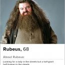 Jak by vypadaly seznamkové profily ústředních postav z Harryho Pottera - wp-content%2Fgallery%2Fharry-potter-tinder-profiles%2Frubeus2.jpg%2Ffit-in__850x850