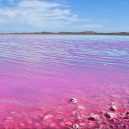 Pastelově růžové jezero připomíná rozšlápnutou žvýkačku - thumbnail_standard