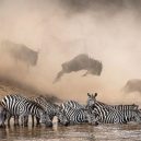 10 nejlepších snímků velké instagramové soutěže pořádané National Geographic - BuG3FWwgV59-png__700