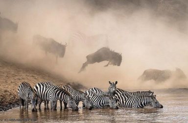 Výherní snímek soutěže The National Geographic Instagram Photography Contest od fotografa Ketana Khambhatty.