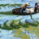 Peklo na zemi. Takhle vypadá život v znečištěné Číně - algae-lake-hefei-china