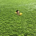 Peklo na zemi. Takhle vypadá život v znečištěné Číně - boy-swimming-in-algal-blooms