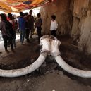 První skutečná jáma na lov mamutů byla odkryta v Mexiku - 5472