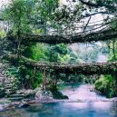 Pohádkové mosty z kořenů stromů jsou staré stovky let - Double-Decker-Living-Root-Bridges-of-Meghalaya