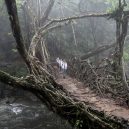 Pohádkové mosty z kořenů stromů jsou staré stovky let - school-boys-living-root-bridge-meghalaya-india