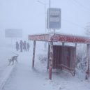 Nejchladnější vesnice světa – sibiřský Ojmjakon - coldest-city-bus-stop