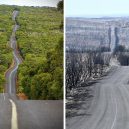 Austrálie před a po. Vlna požárů zdevastovala značnou část ostrovního kontinentu - australia-bushfires-before-after-photos-23-5e15e3417506e__700