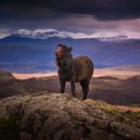 20 důkazů toho, že Island pravděpodobně tím nejkrásnějším místem na světě - iceland-travel-photography-albert-dros-15