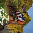 20 důkazů toho, že Island pravděpodobně tím nejkrásnějším místem na světě - iceland-travel-photography-albert-dros-2