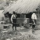 Bellovi – skutečná rodina (ne)plánovaných „trosečníků“ - 4EAF713D00000578-6011397-One_of_the_Bell_s_thatched_huts_Pictured_in_1908_The_Bells_had_t-a-2_1533110486638