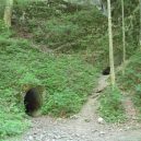 Prohlédněte si Amatérskou jeskyni, nejdelší podzemní přírodní systém ve střední Evropě - Amatérská-jeskyně-vstup-z-Pustého-žlebu-