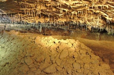 Malé stalaktity v Nové Amatérské jeskyni.