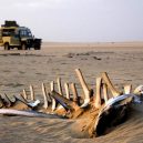 Africké pobřeží s tisíci vraky a nespočtem koster - Skeleton_Coast_01