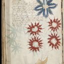 Kdo a proč sepsal tzv. Voynichův rukopis? Středověkou záhadu zatím nedokáže rozlousknout ani umělá inteligence - Voynich_Manuscript_(32)