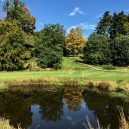 Golfové hřiště v Kynžvartu obklopené panenskou přírodou - IMG_4673