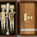Podívejte se na slonovinové panenky s odkrytými vnitřnostmi - Manikins