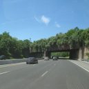 Prohlédněte si ty nejzajímavější ekodukty a mosty pro zvířata z celého světa - i-78-new-jersey-animal-bridge-wildlife-crossing-overpass