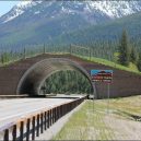 Prohlédněte si ty nejzajímavější ekodukty a mosty pro zvířata z celého světa - montana-usa-animal-bridge-wildlife-crossing-overpass