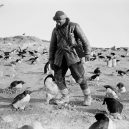 Překrásné snímky z tragické expedice „Terra Nova“ na jižní pól - Terra_Nova_Expedition (12)