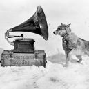 Překrásné snímky z tragické expedice „Terra Nova“ na jižní pól - Terra_Nova_Expedition (13)