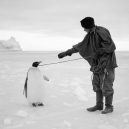 Překrásné snímky z tragické expedice „Terra Nova“ na jižní pól - Terra_Nova_Expedition (16)