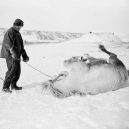 Překrásné snímky z tragické expedice „Terra Nova“ na jižní pól - Terra_Nova_Expedition (25)