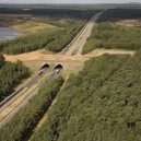 Prohlédněte si ty nejzajímavější ekodukty a mosty pro zvířata z celého světa - Wildlife-Crossing-Belgium