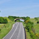 Prohlédněte si ty nejzajímavější ekodukty a mosty pro zvířata z celého světa - Wildlife-Crossing-Germany