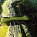 Prohlédněte si ty nejzajímavější ekodukty a mosty pro zvířata z celého světa - Wildlife-Crossing-netherlands-3