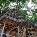 Obrovský stromový dům vyrůstal z mohutného dubu - 24xp-treehouse-superJumbo