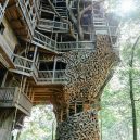 Obrovský stromový dům vyrůstal z mohutného dubu - treehouse1+(1+of+1)